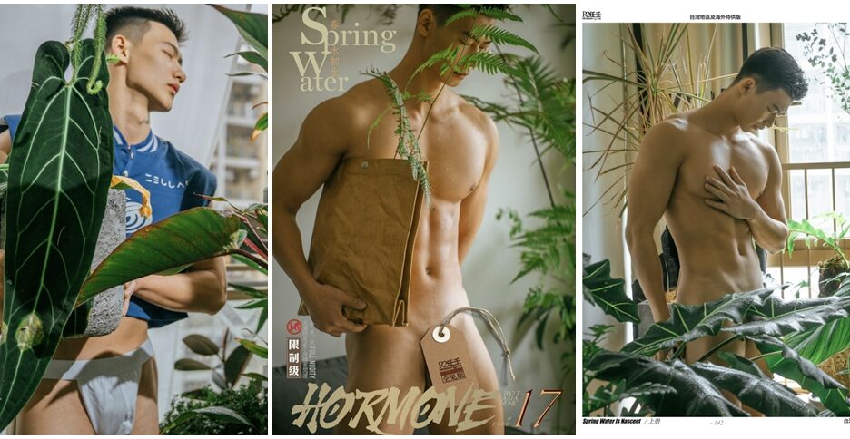 HORMONE 17A – Spring Water (photo+video)