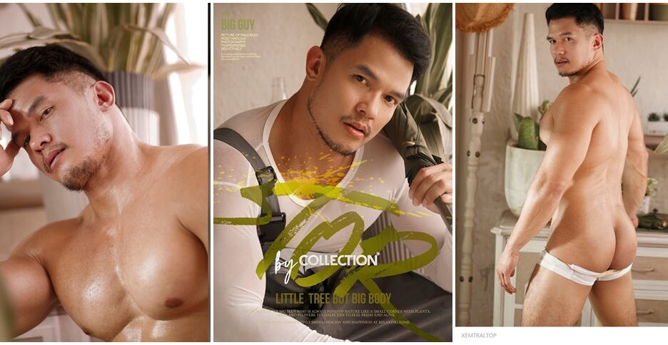 Tor by collection magazine (photo+video)