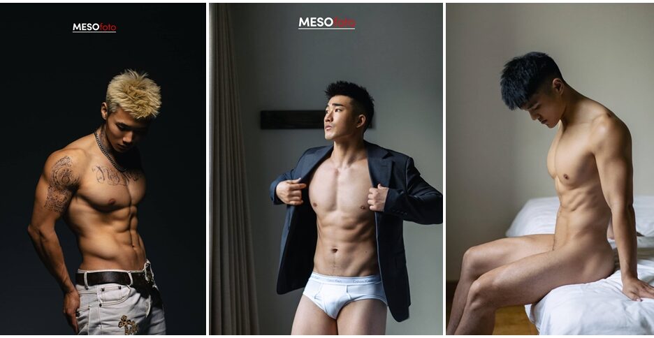 MESOfoto Collection (photo)