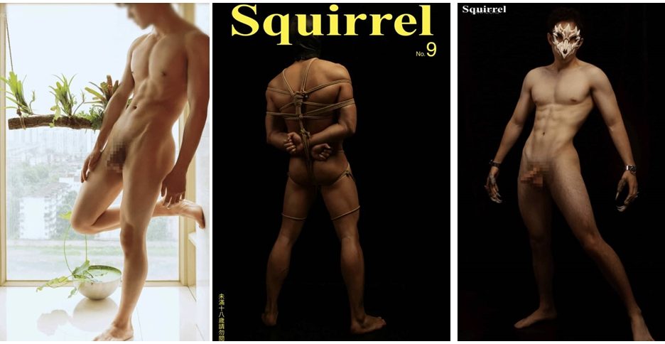 Squirrel No.09 (photo)